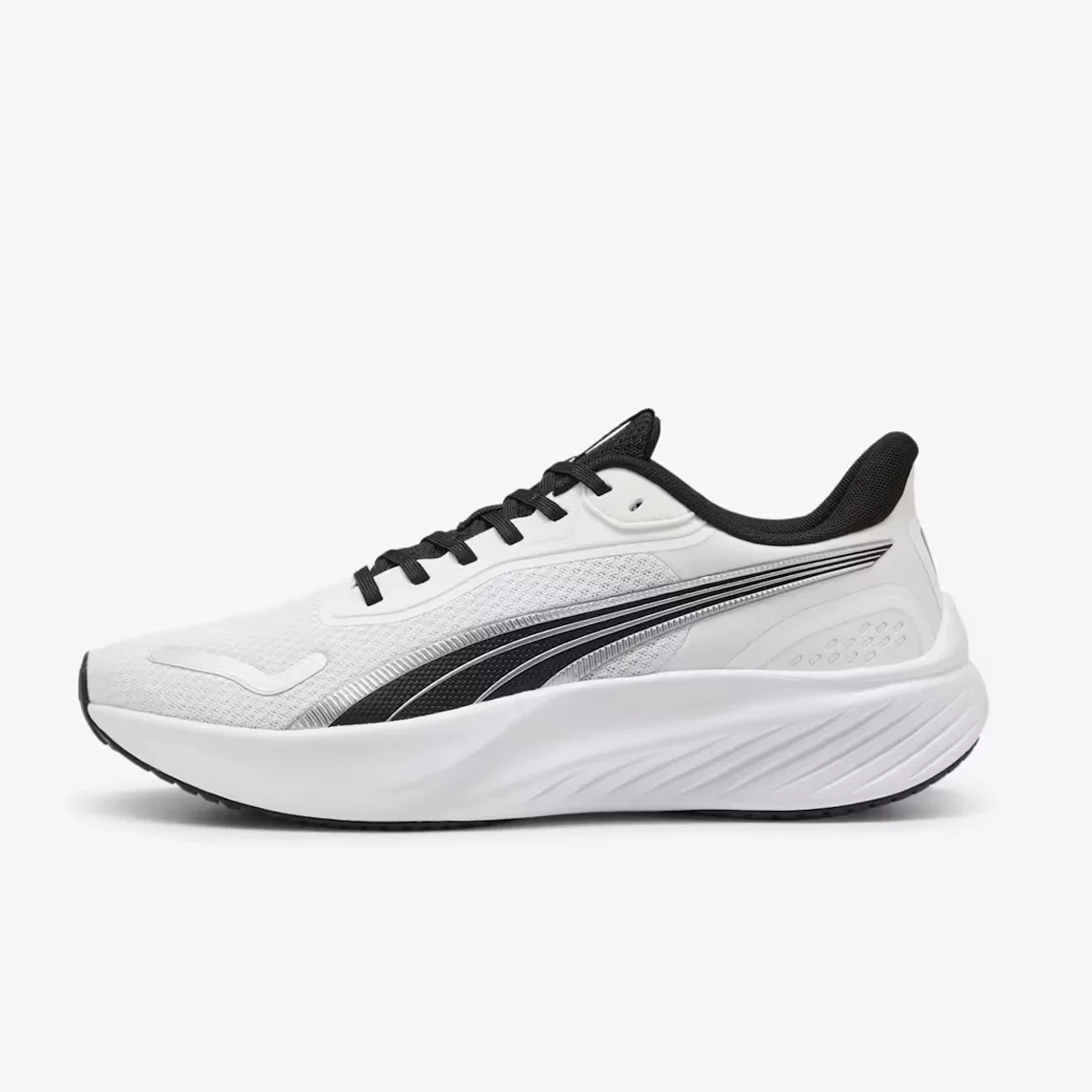 POUNCE LITE