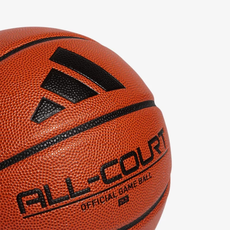 Top basketbolli