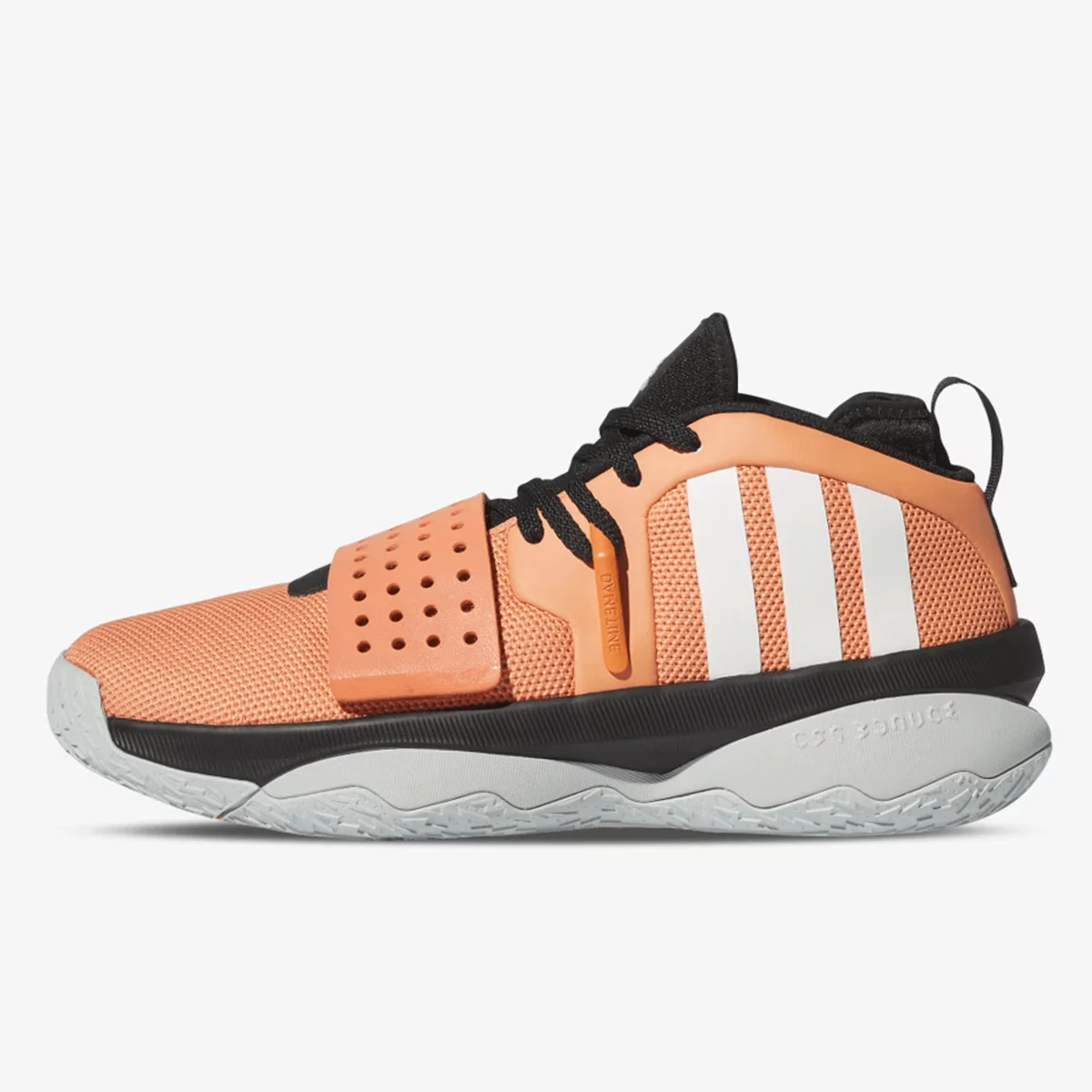 DAME 8 EXTPLY