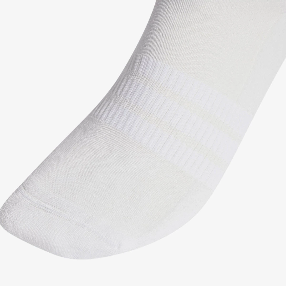 Qorapa