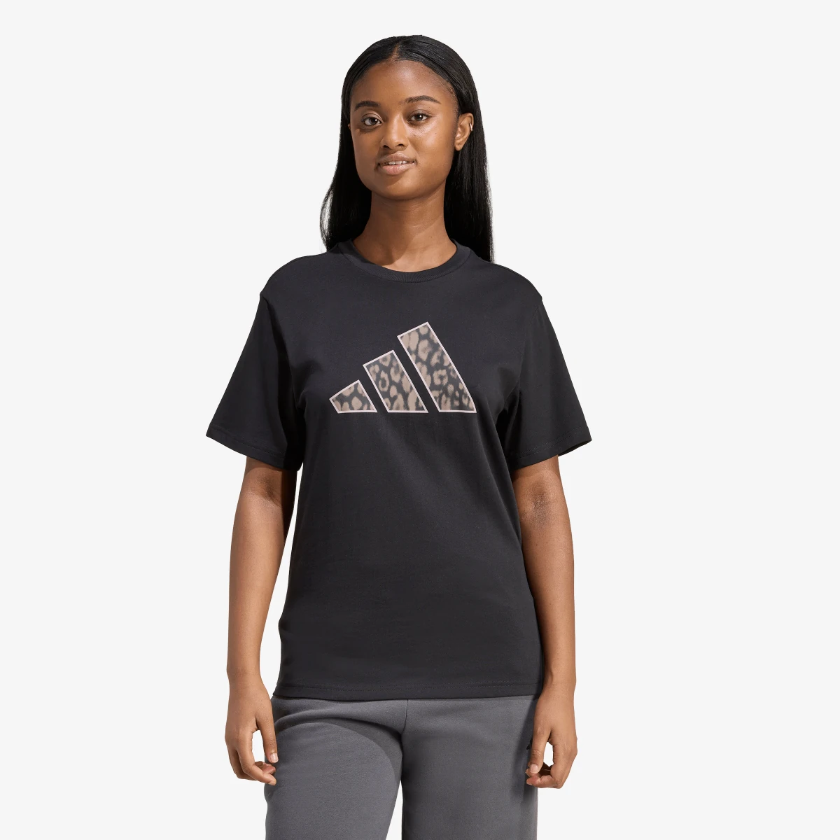ANIMAL T
