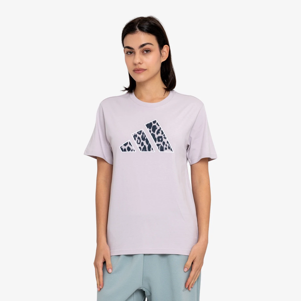 ANIMAL T