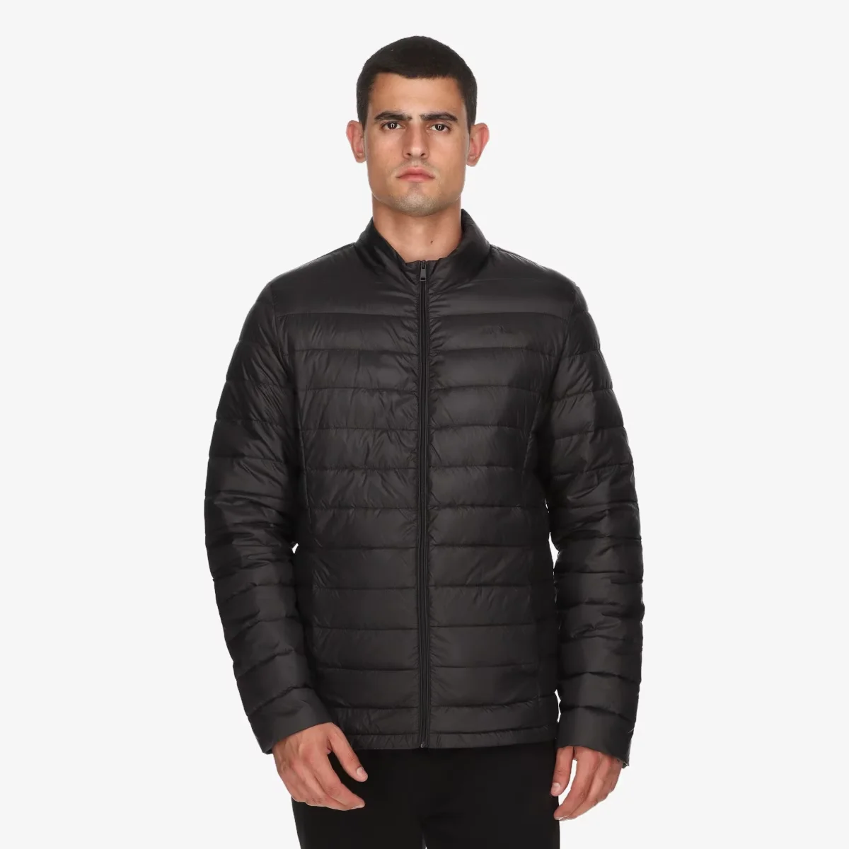 PALM JACKET M